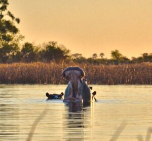 Okavango Delta, Botswana