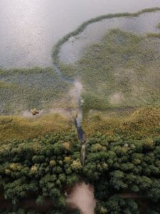 Bwindi Impenetrable Forest